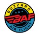 design a professional modern pilot logo