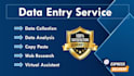 be your data analyst and virtual assistant