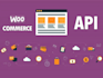 do API integration woocommerce