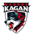 design a professional modern wolf logo