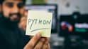 do python scripting, automation project, web scraping, debug