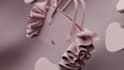 design photorealistic 3d bag renders