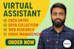 do accurate data entry, web research, lead generation, and file conversion
