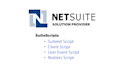 do netsuite customization and deploy using suitescripts