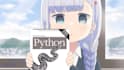 teach you how to program with python