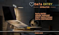 do a professional data entry logo