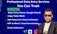 do fast data entry copy paste web research and excel tasks