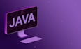 professional java and python programmer unleashing the power of code