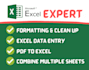 help in microsoft excel data cleaning, spreadsheets, expert data entry
