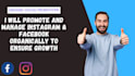 manege your social media with organic social media promotions