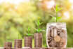 energize your wallet with prosperity energy