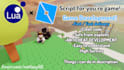 script for your roblox game