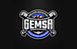 design softball league logo