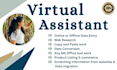be your virtual assisstant for data entry and web research