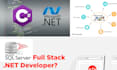 develop c sharp and vb dot net desktop application