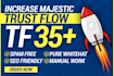 increase majestic tf 35 plus for higher visiblity in google