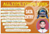 do data entry, retyping, copy past, image editing, databases