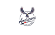 design powerful patriotic logo design