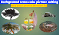do your photos images  background remove