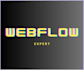 develop responsive webflow landing page website