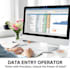 do data entry and copy paste job