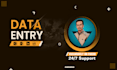 do accurate and tedious data entry