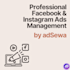 manage ad campaigns and strategy for meta facebook instagram