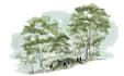 draw landscape architectural perspective and section