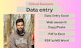 data entry and excel expert