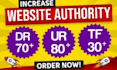 increase DR domain rating with SEO backlink