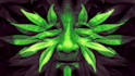 do a full shamanic healing session