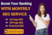 provide full white hat monthly SEO package with high authority link building