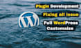 expert for your wordpress website
