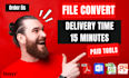 convert PDF to word,PDF to excel or powerpoint for you