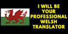 be your professional welsh translator