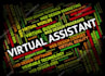 do professional virtual assistant for efficient task management and support