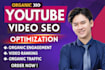 do professional youtube video seo and channel optimization