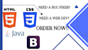fix issues or find bugs in HTML, CSS and javascript code