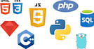 code HTML CSS javascript golang cpp assembly, java react nextjs nodejs