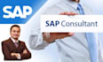 provide expert sap training fico user training, user testing