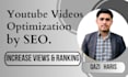perform youtube SEO for increasing organic views