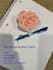 professionally developmental edit your manuscript or book