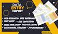 do data entry, web scraping, copy paste, excel data entry