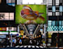 put your logo or photo on 50 billboards at famous places