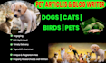write dogs, cats articles and pet blogs