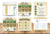 do illustrated graphic design, flow chart, infographic design