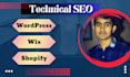 provide technical SEO services for wix, wordpress and shopify websites