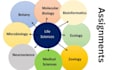 zoology, agriculture, and environmental biology assignments