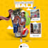 make cool poster and flyer event