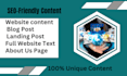 be your  SEO friendly content writer for your website or blog